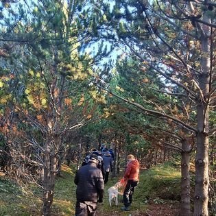 310573012_164989866140995_10255999716860630_n