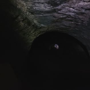 310769660_163169262989722_4703682138174703420_n