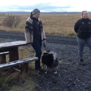 311063825_163166769656638_2607862702539780204_n