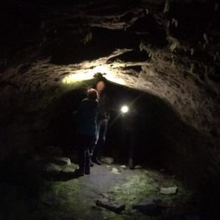 311066701_163167556323226_3529518124604296761_n