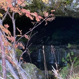 311085121_163166926323289_441229181287565901_n