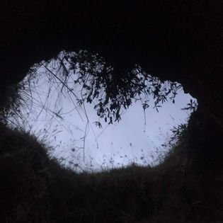 311116617_163167436323238_698302626548224215_n