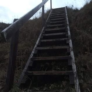 311232714_163167096323272_6557359824523633886_n