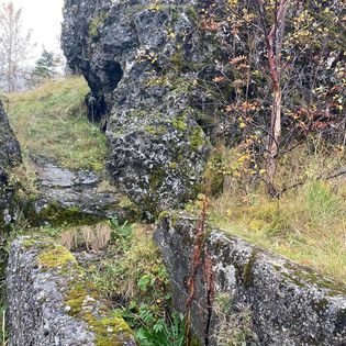 311235697_163166972989951_2148004683935270872_n