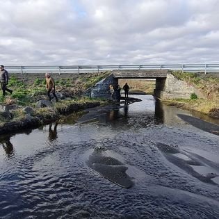 279806190_134009799216727_4012765542948890088_n