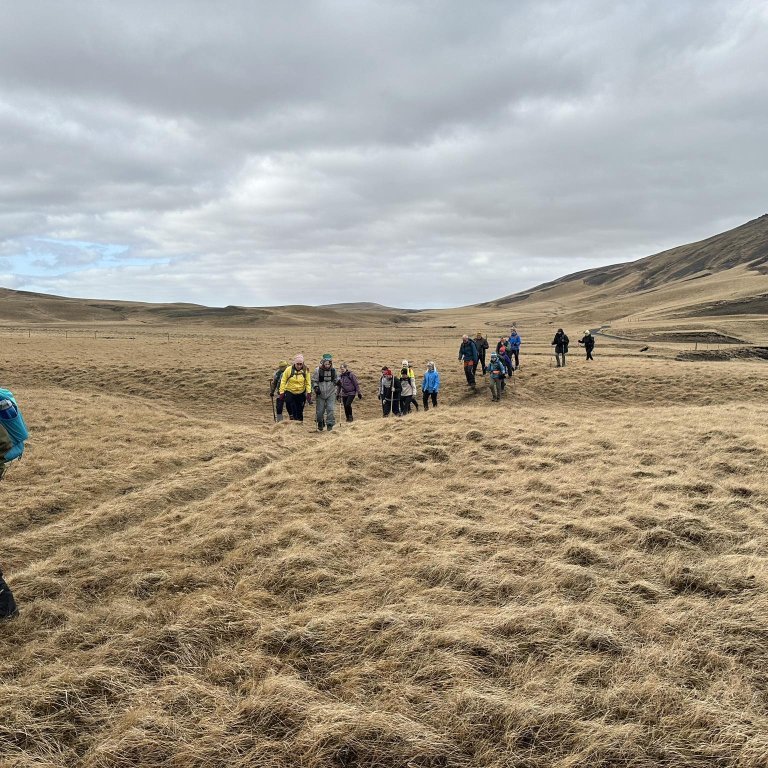 received_1395208138027420-1