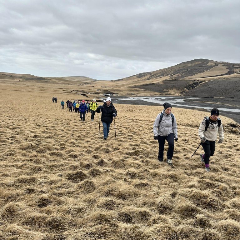 received_311088341835523