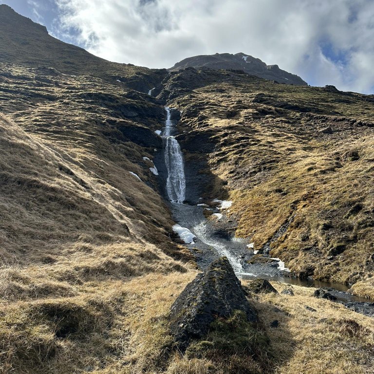 received_393900960218908