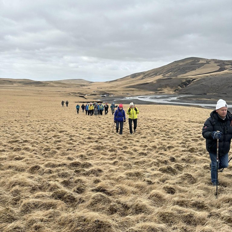 received_446447741402383