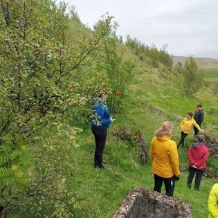 285588773_143191191631921_3999851807545641807_n