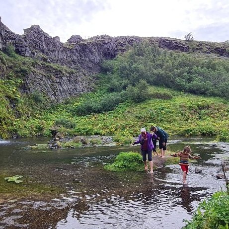 455687290_3667390556808729_7809758390303165157_n