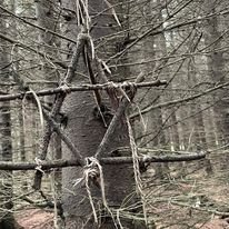 380452935_620895233309947_3196939851312087358_n