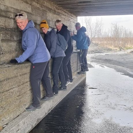 441490406_430620966244549_8475349742840654013_n