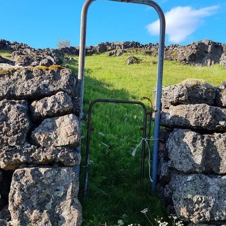 357456618_265011496138831_204177656605335203_n