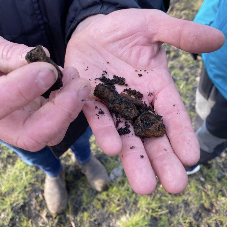 Steini sýnir okkur sérkennilega sívalninga, sem hann telur að sé mýrarrauði sem hefur sest í kringum rætur af elftingu. Spurning hvort hægt sé að búa til blokkflautu úr þessu eða jafnvel góða pípu.