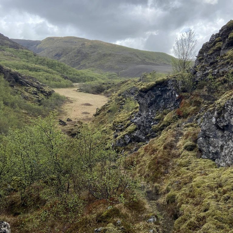 447556141_447599397880039_3773339181331430475_n