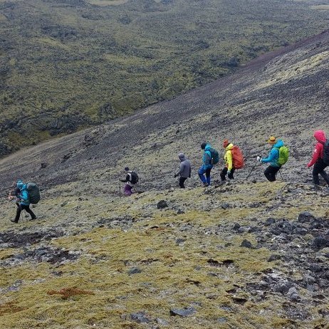 447560345_447599127880066_4085861436924379262_n