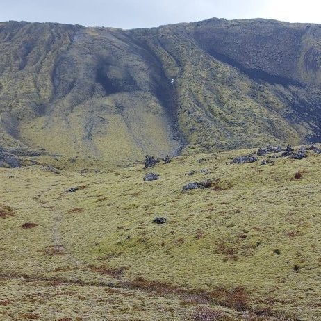 447586045_447599281213384_4146625237933002436_n