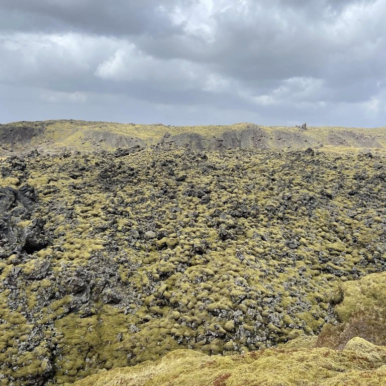 447631011_447599334546712_7210450870526975820_n