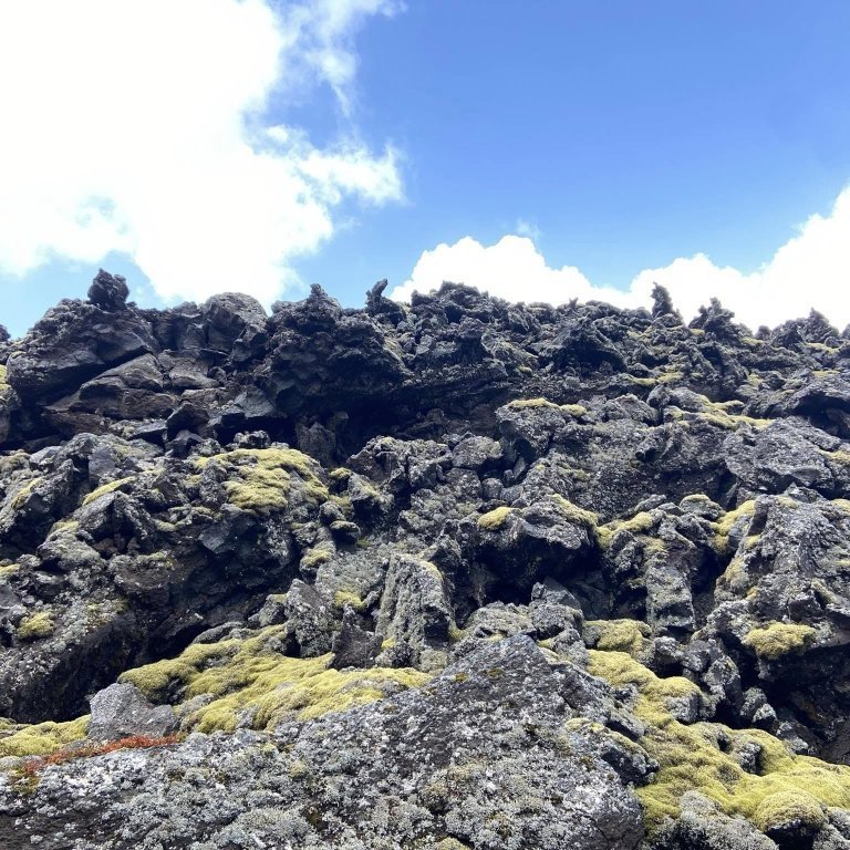 447777767_447599354546710_1145727182172397393_n