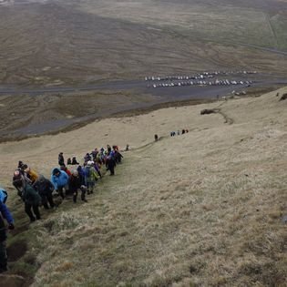 279718987_133272469290460_384210514297361572_n