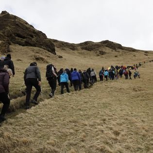 279767350_133272539290453_5705813544403625457_n