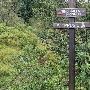 Ljósmynd Helgi Jóhannesson.