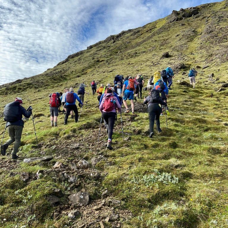 287316115_145907381360302_5461860547095984487_n