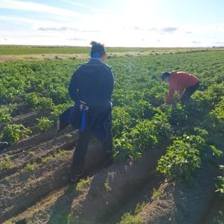 297831954_160776183206755_879472772329221363_n