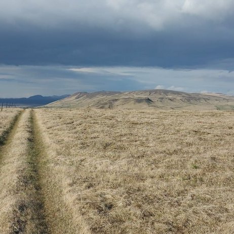 447641147_449291117710867_3716720821363853305_n