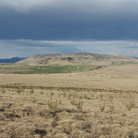 447645123_449291067710872_2675367149146443477_n