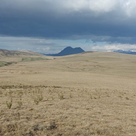 447780640_449291044377541_1603631770063945908_n