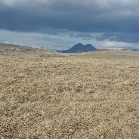 447781270_449291101044202_2117386033783308745_n