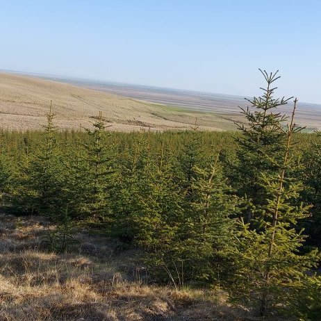 447781728_449291027710876_5706842791966060327_n