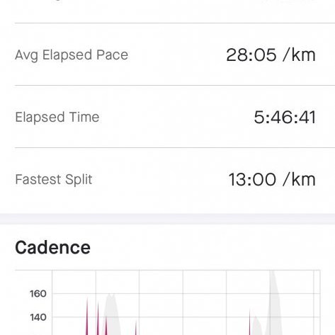 Leiðin sem gengin var/Garðar Þorfinnsson
