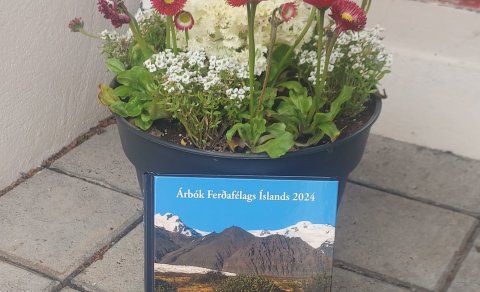 Árbókin 2024
